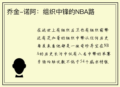 乔金-诺阿：组织中锋的NBA路