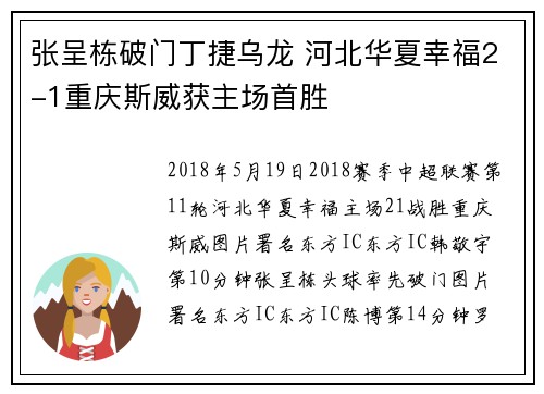 张呈栋破门丁捷乌龙 河北华夏幸福2-1重庆斯威获主场首胜